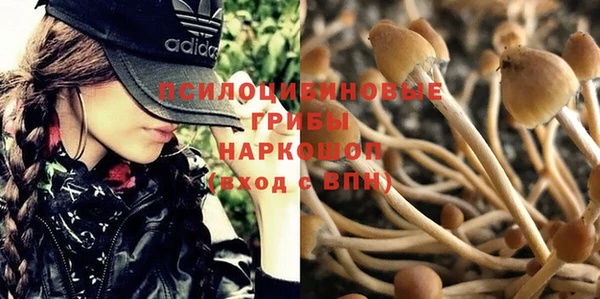 кристаллы Куйбышев