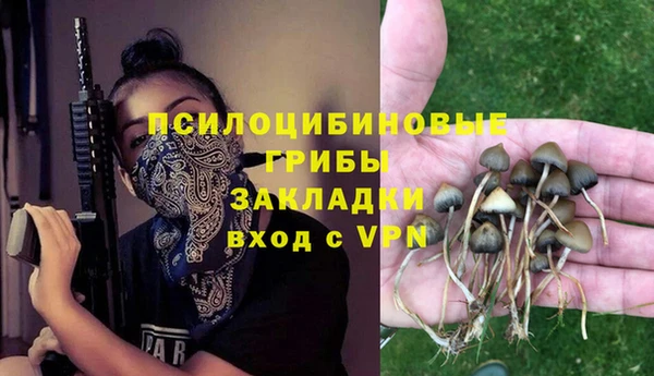 марки nbome Кукмор
