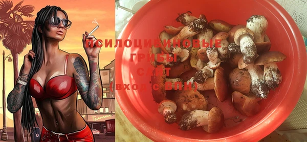прущий лед Кулебаки