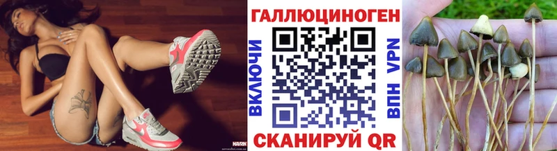 KRAKEN как зайти Красноперекопск Галлюциногенные грибы ЛСД